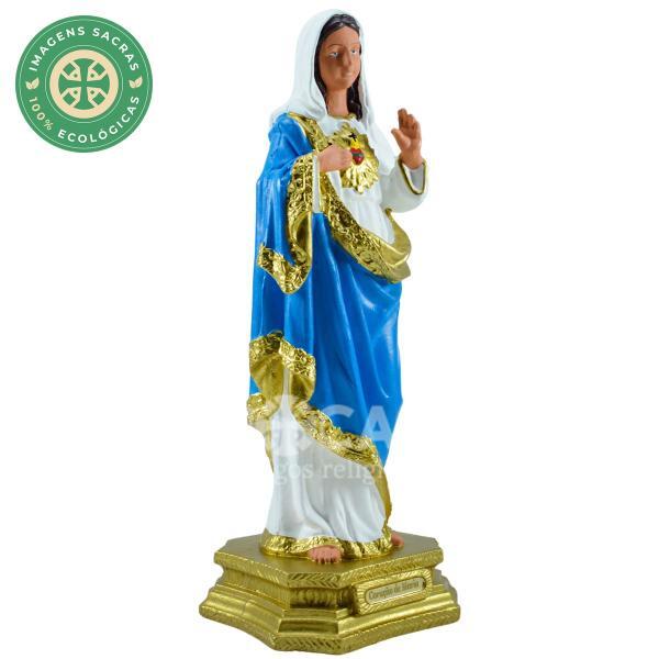 Sagrado Coração de Maria 33 cm (AG)